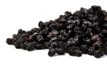 Elderberry