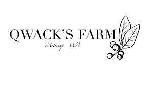 Quacks Farm Salad Mix (Organically Grown) - #shop_name - Quacks Farm