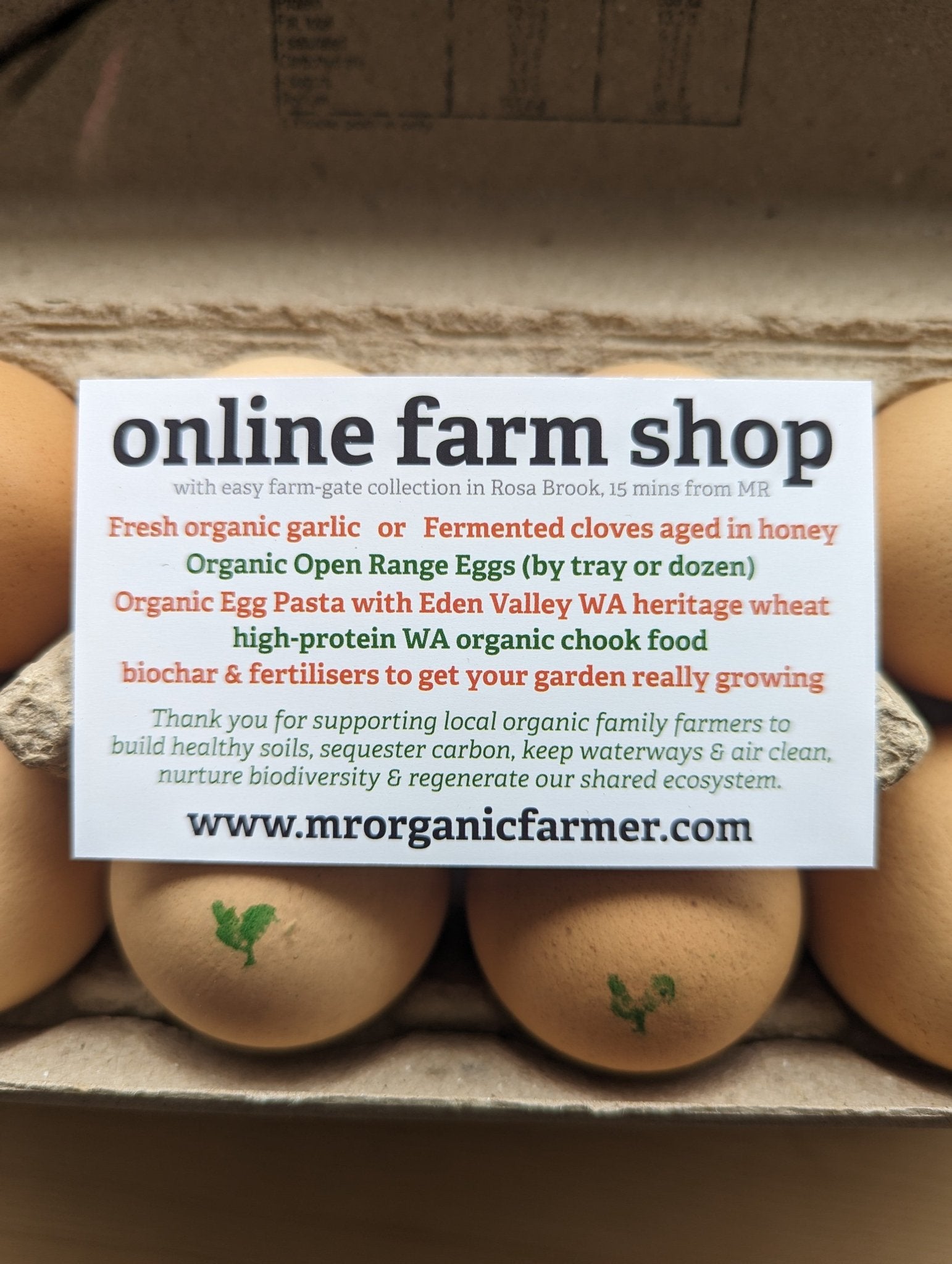 Organic exceptional open range eggs (dozen) - #shop_name - -Prana Wholefoods